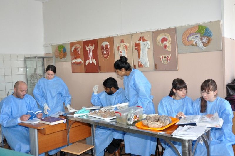 Anatomia omului - o artă la USMF ”Nicolae Testemițanu” Anatomia omului - o artă la USMF ”Nicolae Testemițanu”